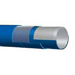 455LE脂肪類食品管